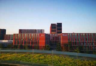 松江区企业主题团建哪家好