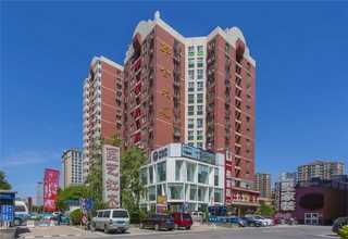 湖州双面蓝糊盒机皮带厂家