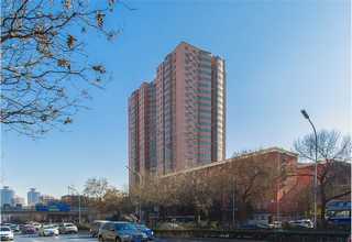 内蒙古鼻胃管饲喂一次性无菌鼻胃肠管